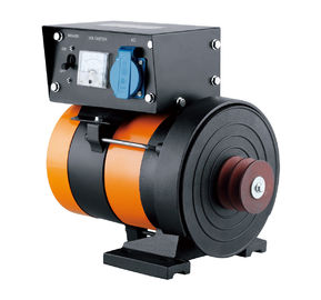 1KW Direct Connection  High Output Alternator AC Power